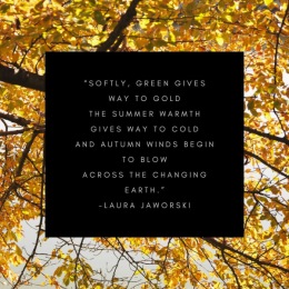 Grab your pumpkin spice, it's officially sweater weather!  social media post with a poen